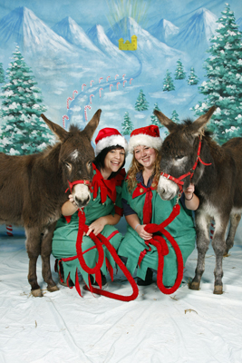 Christmas Nativity photographer with live farm animals